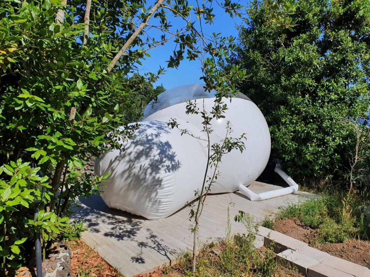 Villa Quinta Do Abacate - Glamping Park à Angra do Heroísmo Extérieur photo