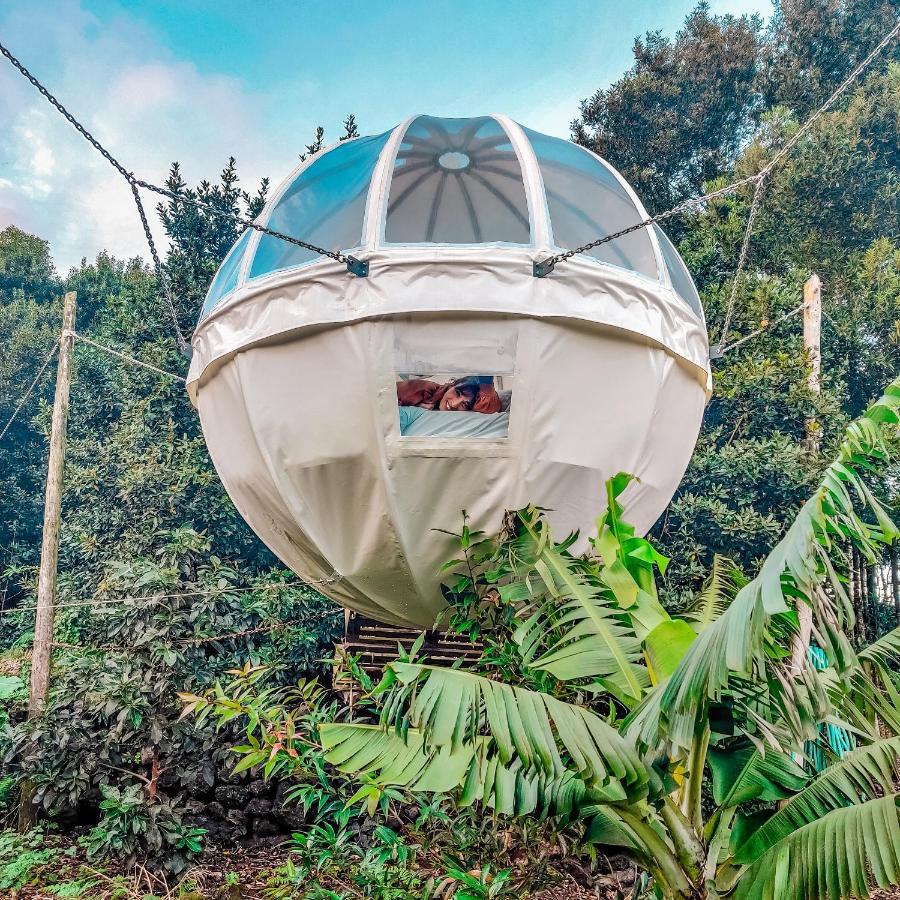 Villa Quinta Do Abacate - Glamping Park à Angra do Heroísmo Extérieur photo